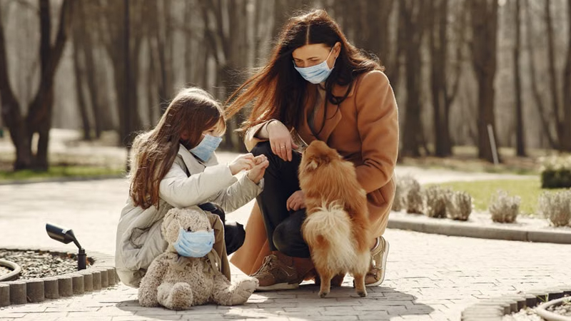 Pet Insurance is Growing by 20% since Covid in USA